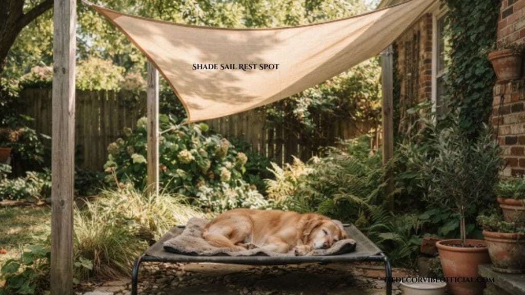Shade sail and raised bed dog friendly backyard idea on a budget